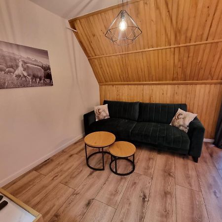 Apartament Klasyczny Z Widokiem Na Giewont 考斯赛力克 外观 照片