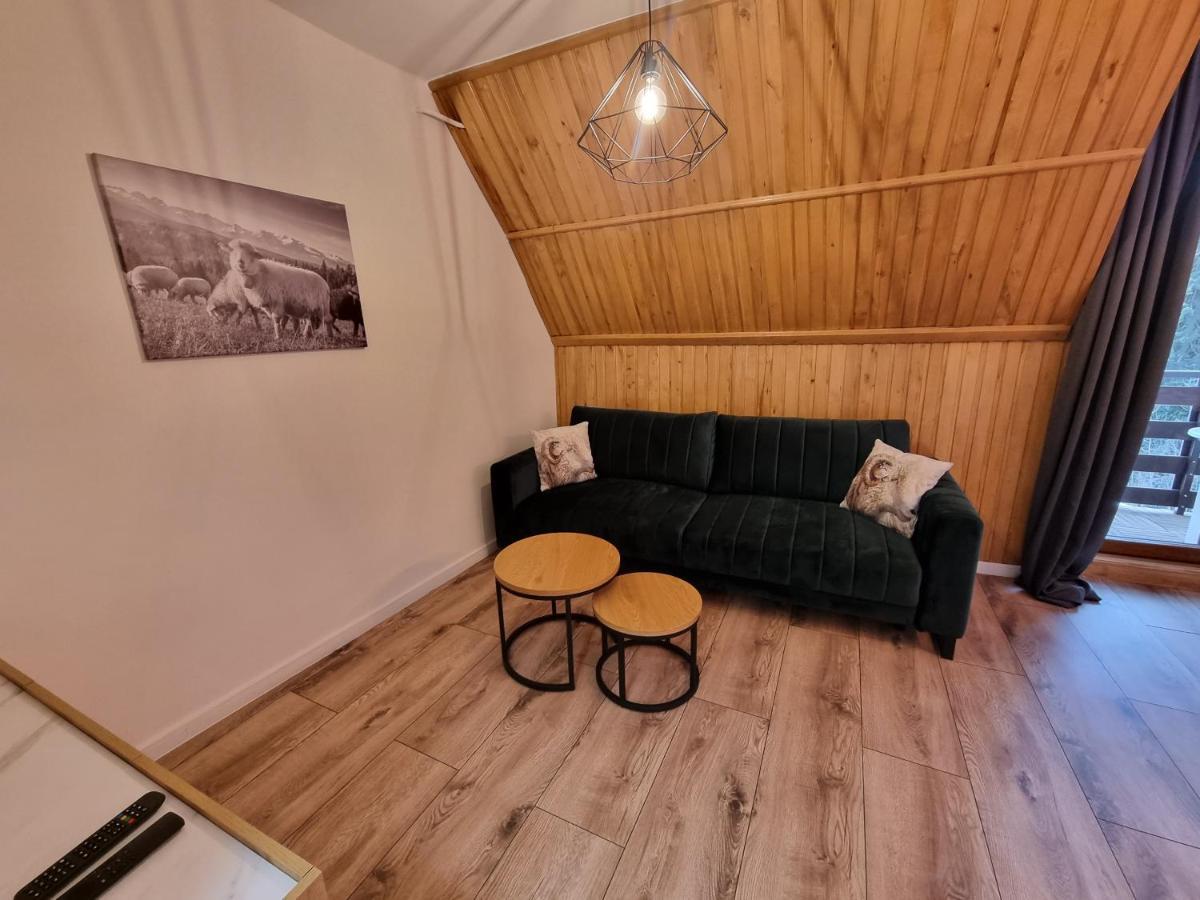 Apartament Klasyczny Z Widokiem Na Giewont 考斯赛力克 外观 照片