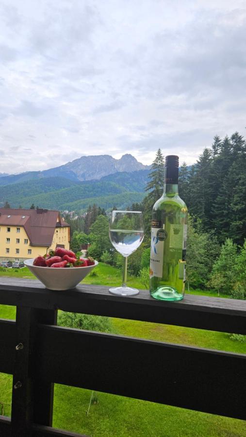 Apartament Klasyczny Z Widokiem Na Giewont 考斯赛力克 外观 照片