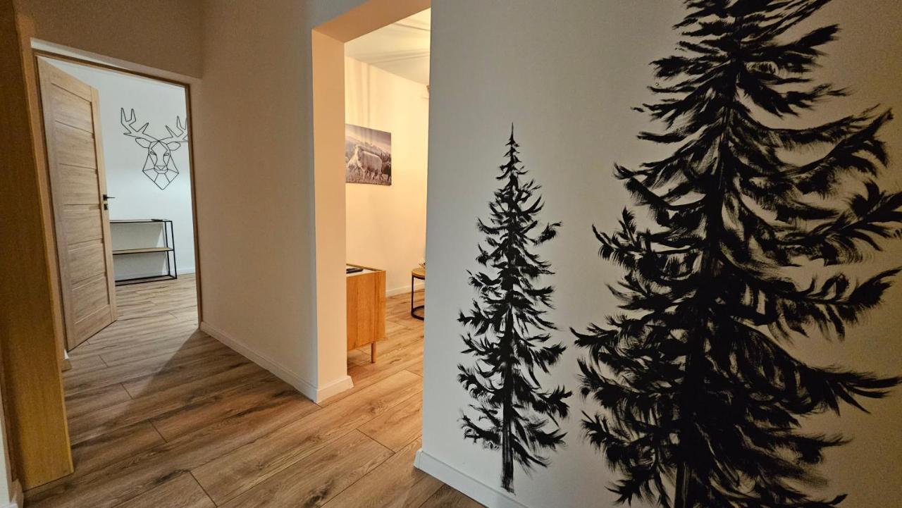 Apartament Klasyczny Z Widokiem Na Giewont 考斯赛力克 外观 照片